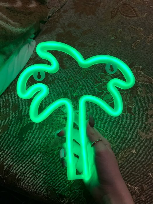 Фотография покупателя товара Неоновая вывеска «Пальма» 19.5 × 23 см, батарейки ААх3 (не в комплекте), USB, свечение зелёное - Фото 1