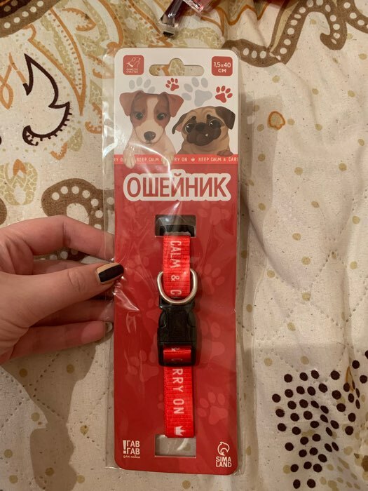Фотография покупателя товара Ошейник для собак с фастексом «Косточка», 40 х 1,5 см - Фото 2