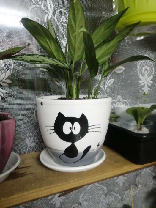 Фотография покупателя товара Горшок для цветов «Кот», 1 л, d=15 см, h=13 см, керамика, с поддоном, белый - Фото 15