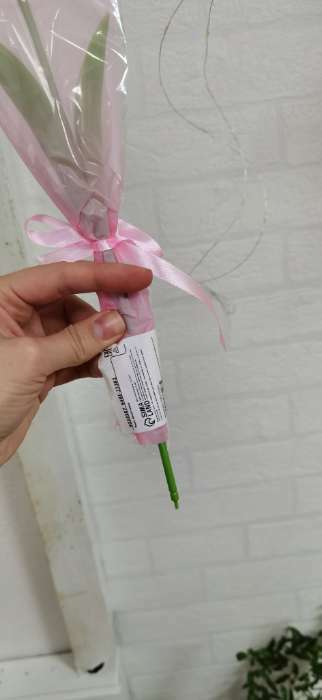 Фотография покупателя товара Мыльный тюльпан, красный - Фото 2