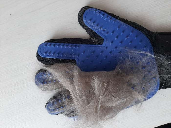 Фотография покупателя товара Перчатка - щетка для шерсти на правую руку с удлиненными зубчиками, синяя - Фото 9