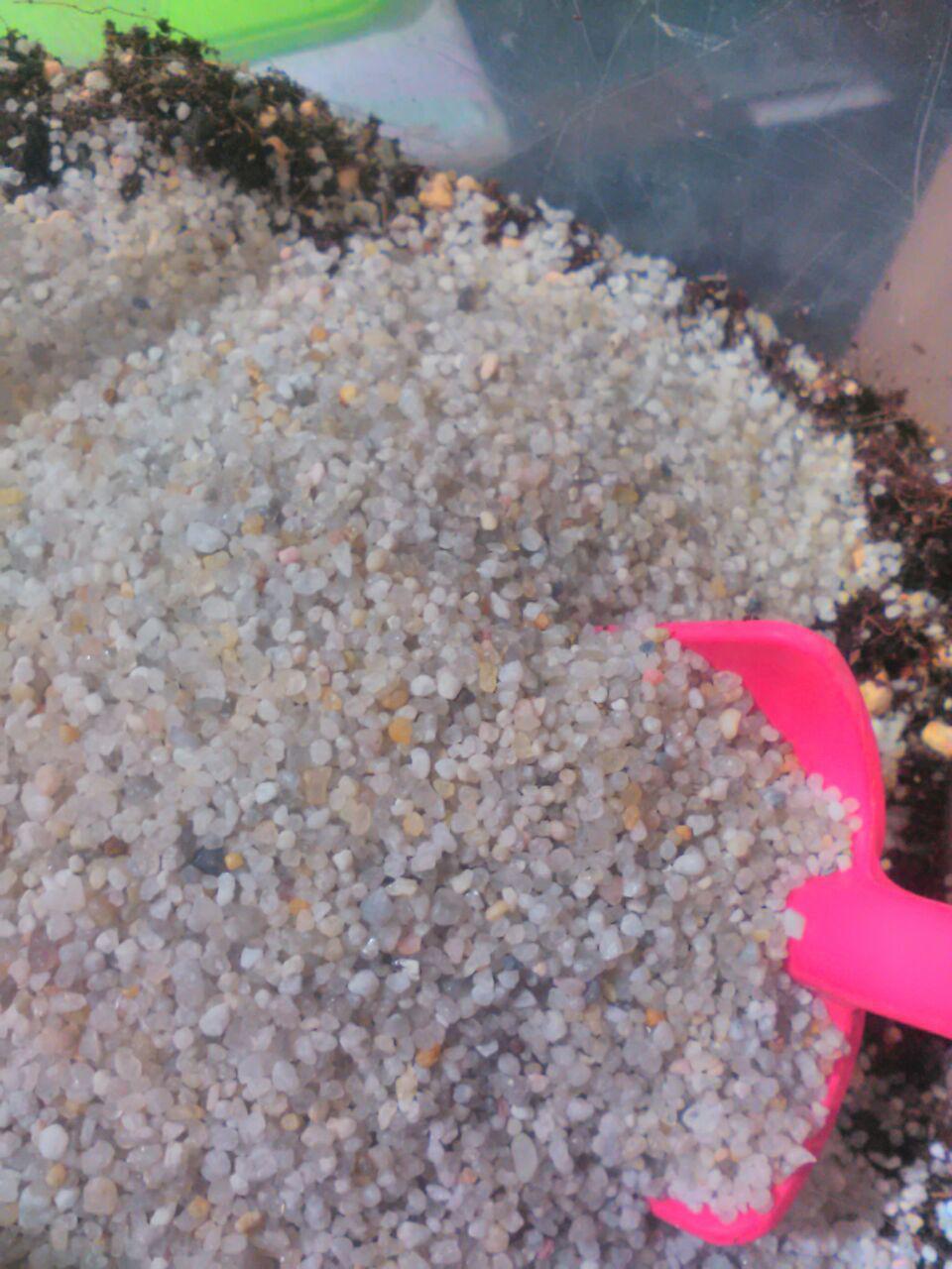 Фотография покупателя товара Грунт для аквариума "Песок кварцевый окатаный", фракция 0.8-2 мм, 3.5 кг - Фото 2