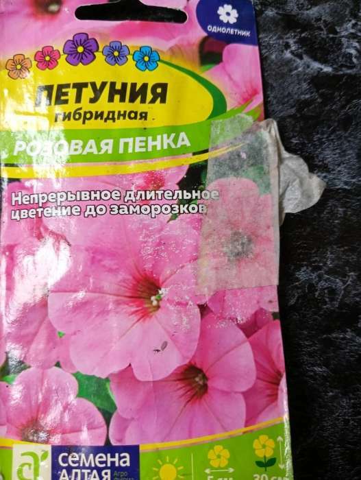 Фотография покупателя товара Семена цветов Петуния "Розовая пенка", О, цп, 0,1 г - Фото 7
