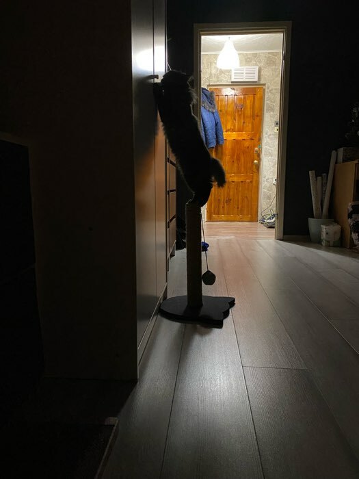 Фотография покупателя товара Когтеточка-столбик с основанием-кошечкой "Пижон", 32 х 31 х 47 см, рогожка, джут, серо-синий - Фото 2