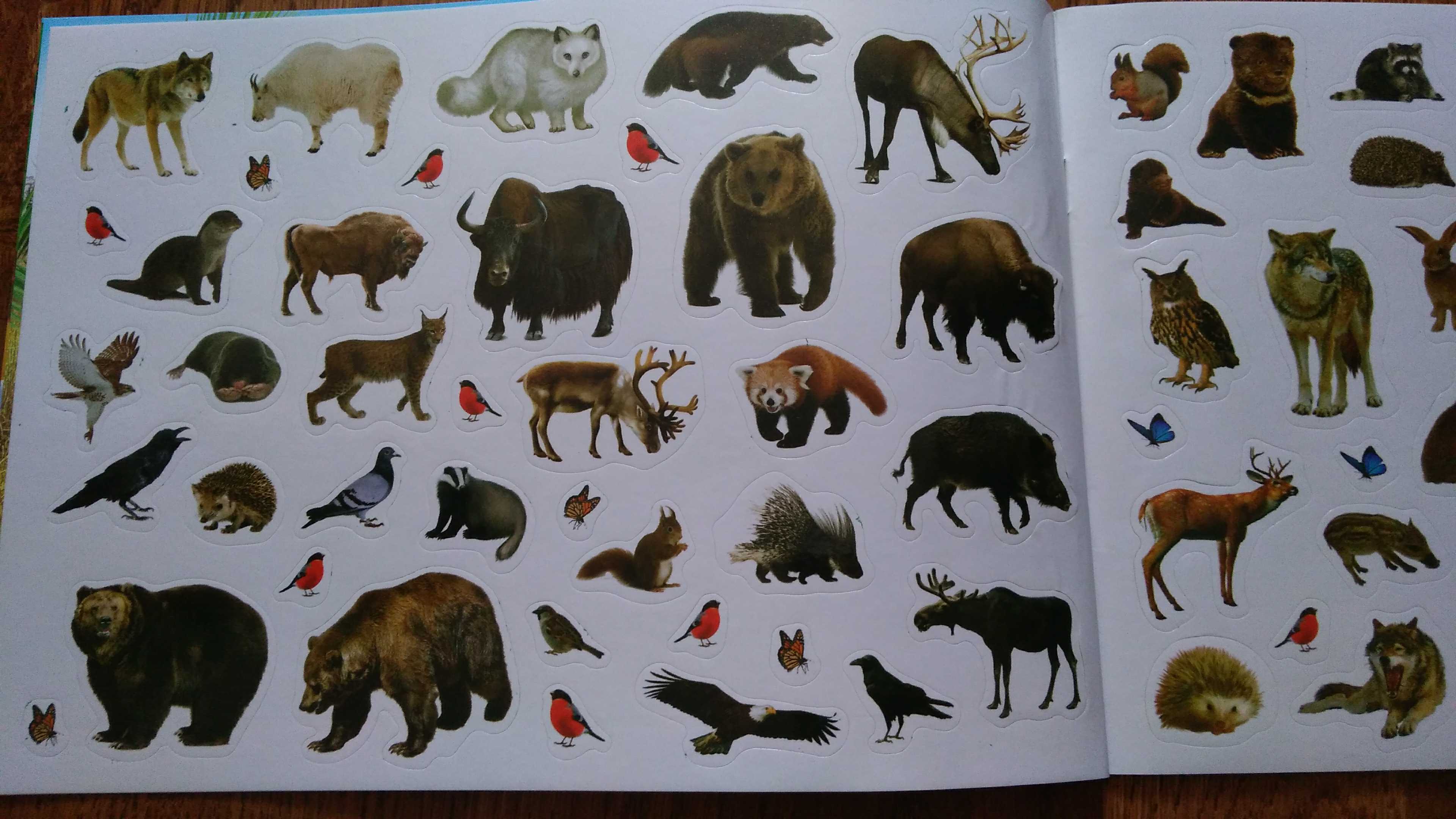 Фотография покупателя товара 250 наклеек набор «Весёлые зверята», 2 шт. по 8 стр.