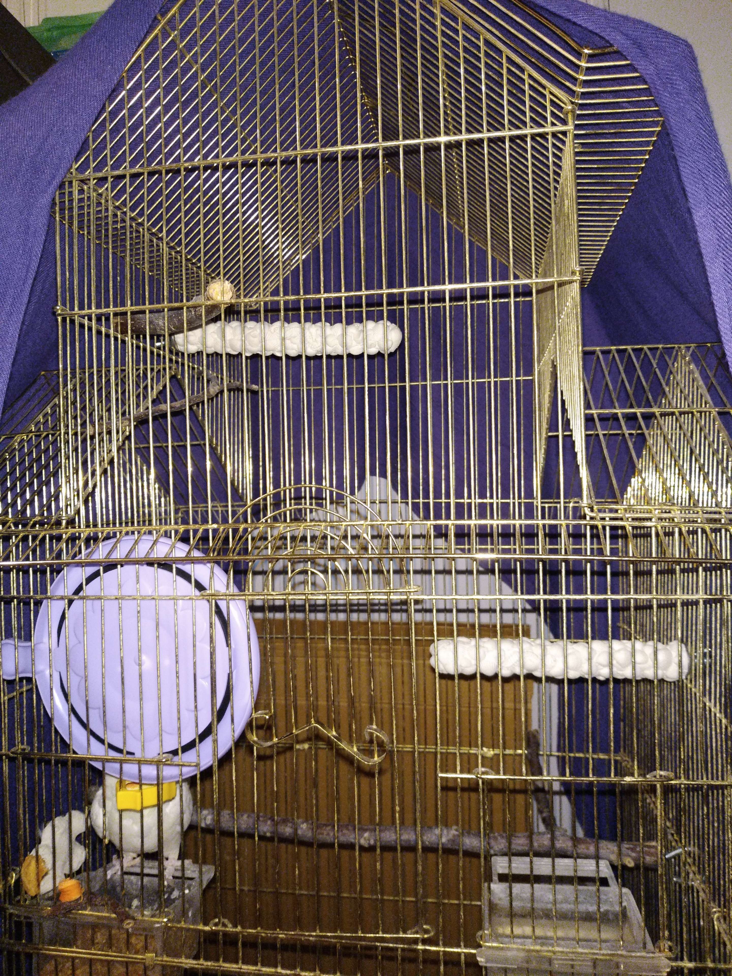 Фотография покупателя товара Минеральные жердочки "Морской Риф" для попугаев, 2 шт, 17 см - Фото 5