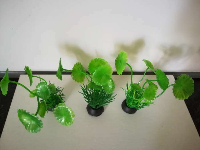 Фотография покупателя товара Растение искусственное аквариумное, 10 см, зелёное - Фото 2