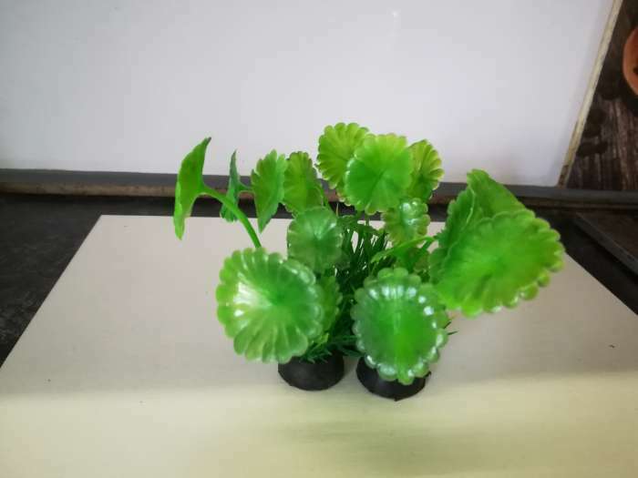Фотография покупателя товара Растение искусственное аквариумное, 10 см, зелёное - Фото 1