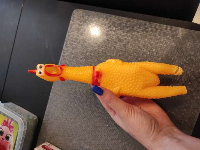Фотография покупателя товара Игрушка пищащая "Задумчивая курица" для собак, 28 см, жёлтая - Фото 24