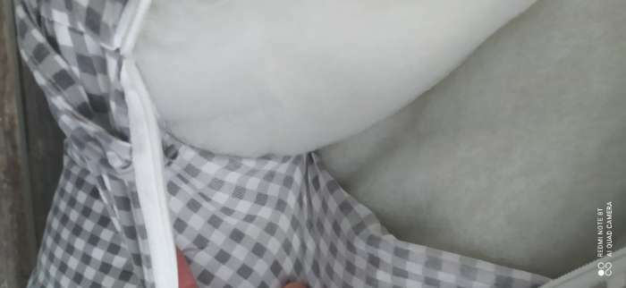 Фотография покупателя товара Сидушка на стул Этель "Клеточка" 40х40 см, цв. серый, 100% полиэстер - Фото 4