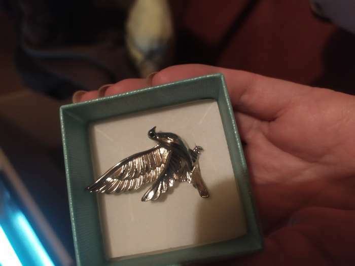 Фотография покупателя товара Брошь «Птица» голубь мира, цвет серебро