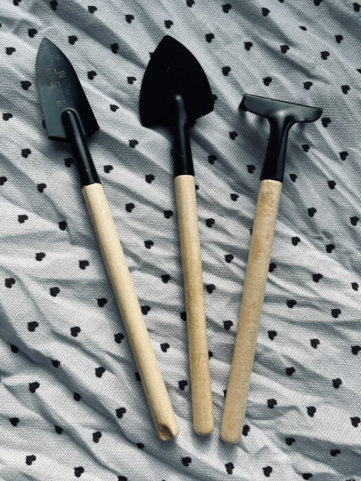 Фотография покупателя товара Набор садового инструмента, 3 предмета: грабли, 2 лопатки, длина 24 см, деревянные ручки - Фото 20