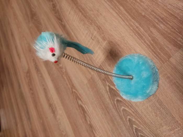Фотография покупателя товара Дразнилка для кошек на пружине с мышью (5 см), 10,5 х 23 см, голубая - Фото 1