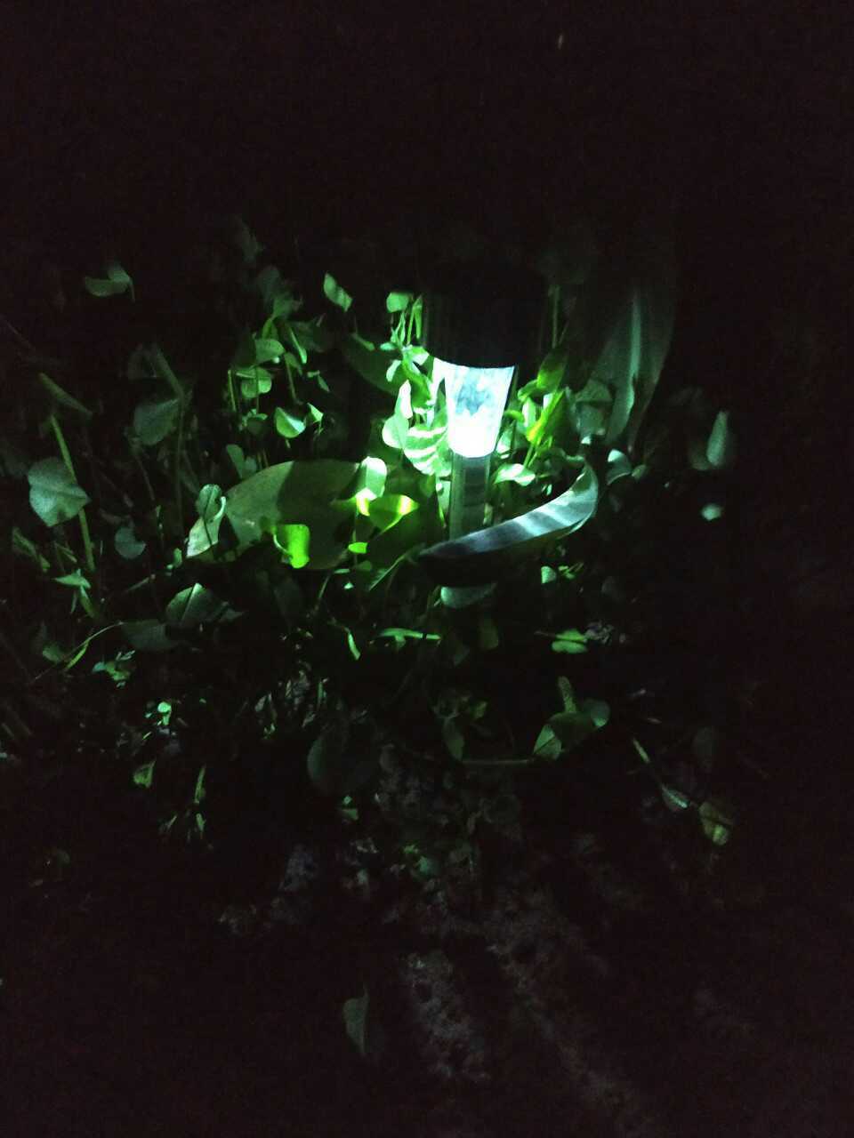 Фотография покупателя товара Фонарь садовый на солнечной батарее "Трапеция" 29,5 см, d-4,5 см, 1 led, металл, шоубокс
