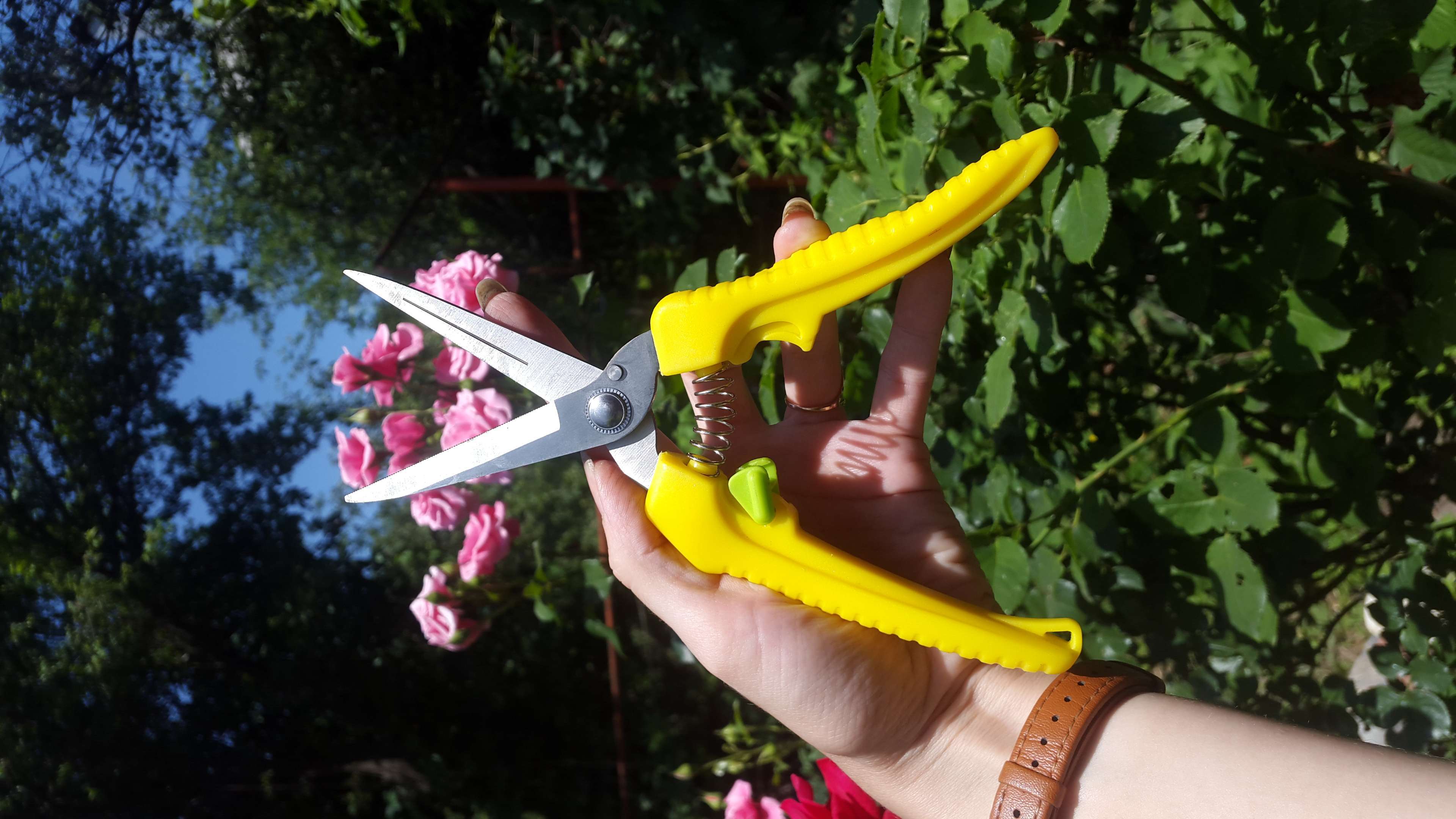 Фотография покупателя товара Ножницы садовые, 8 " (20 см), пластиковые ручки