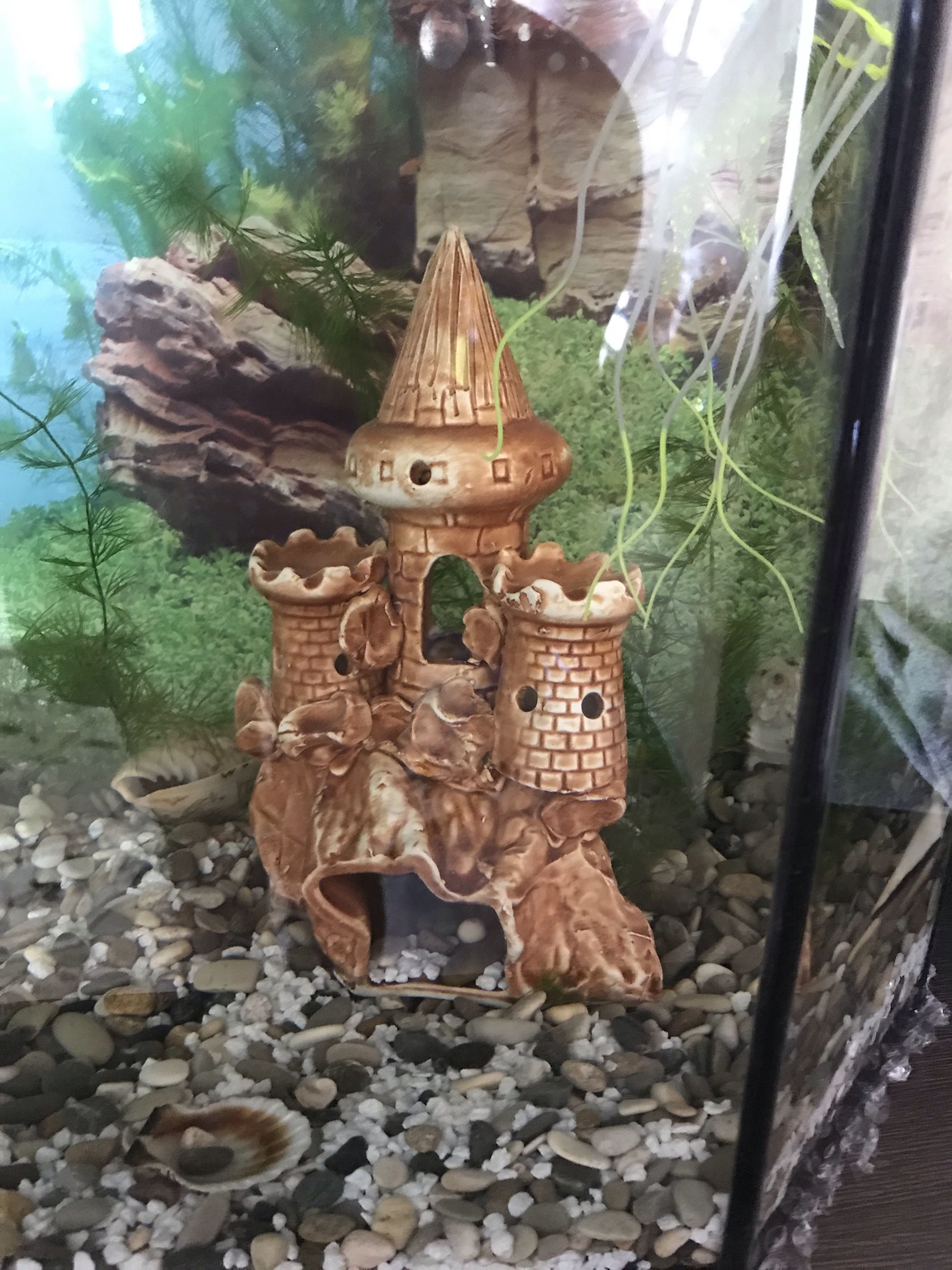 Фотография покупателя товара Декорация для аквариума "Замок на скале", 11 х 13 х 16 см, микс - Фото 1