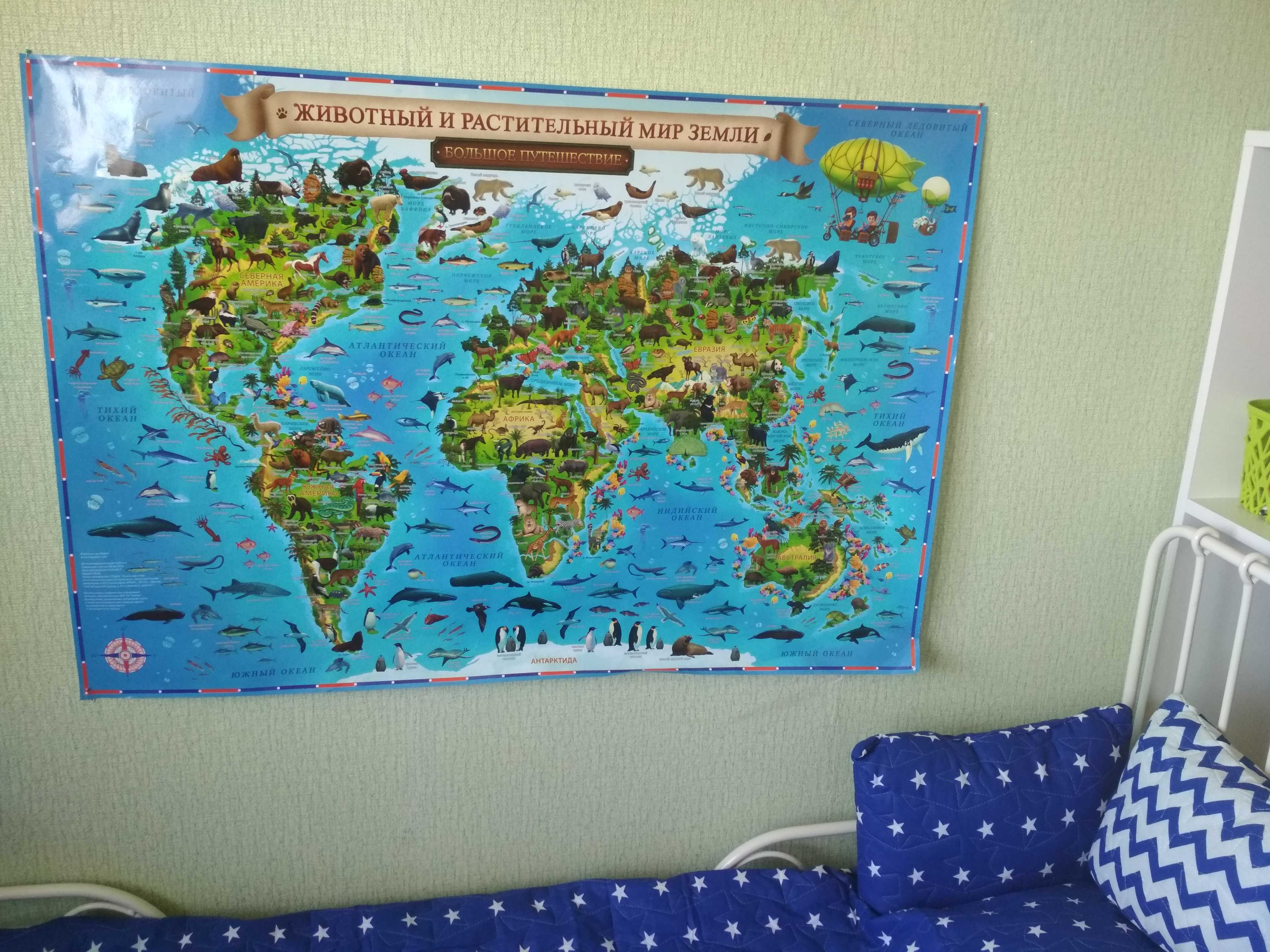 Фотография покупателя товара Карта Мира географическая для детей "Животный и растительный мир Земли", 101 х 69 см, ламинированная - Фото 31
