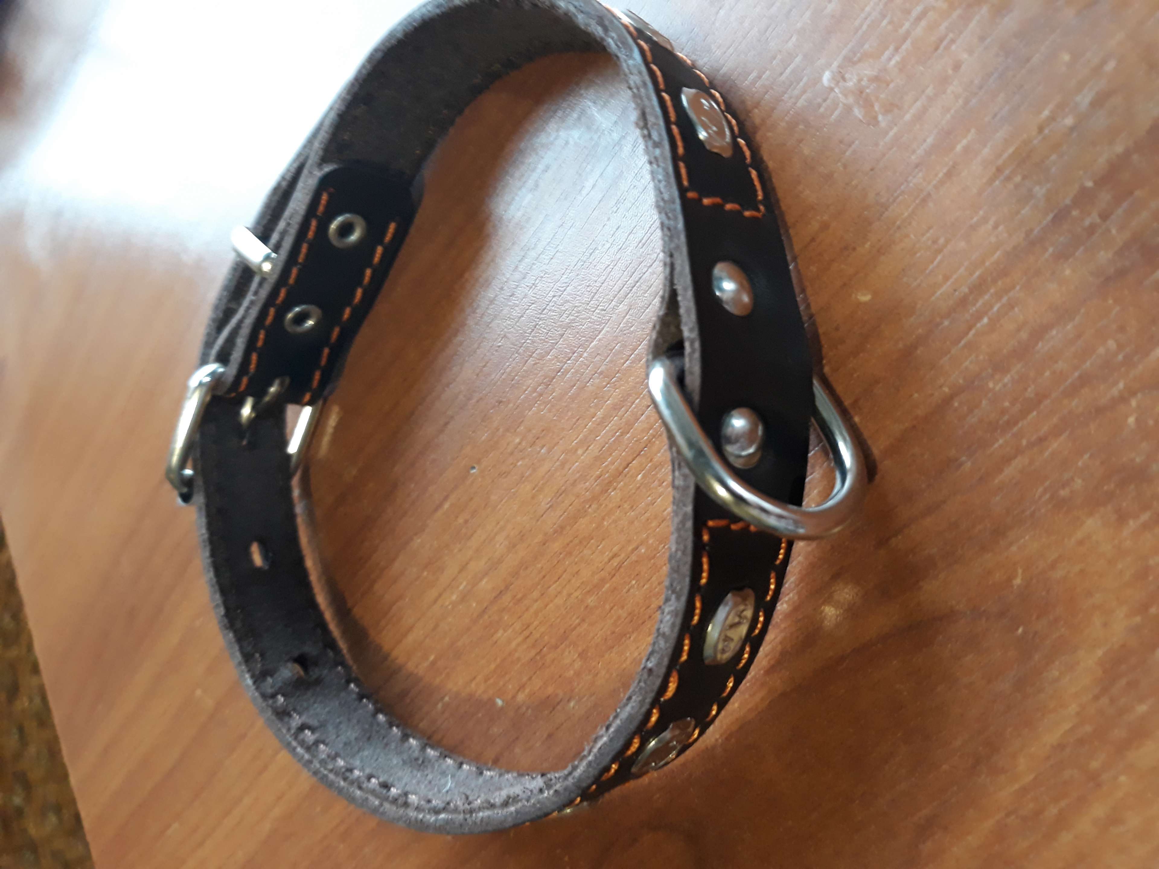 Фотография покупателя товара Ошейник кожаный двухслойный украшенный, кольцо посередине, ОШ 31-39 х 2 см, микс цветов - Фото 1