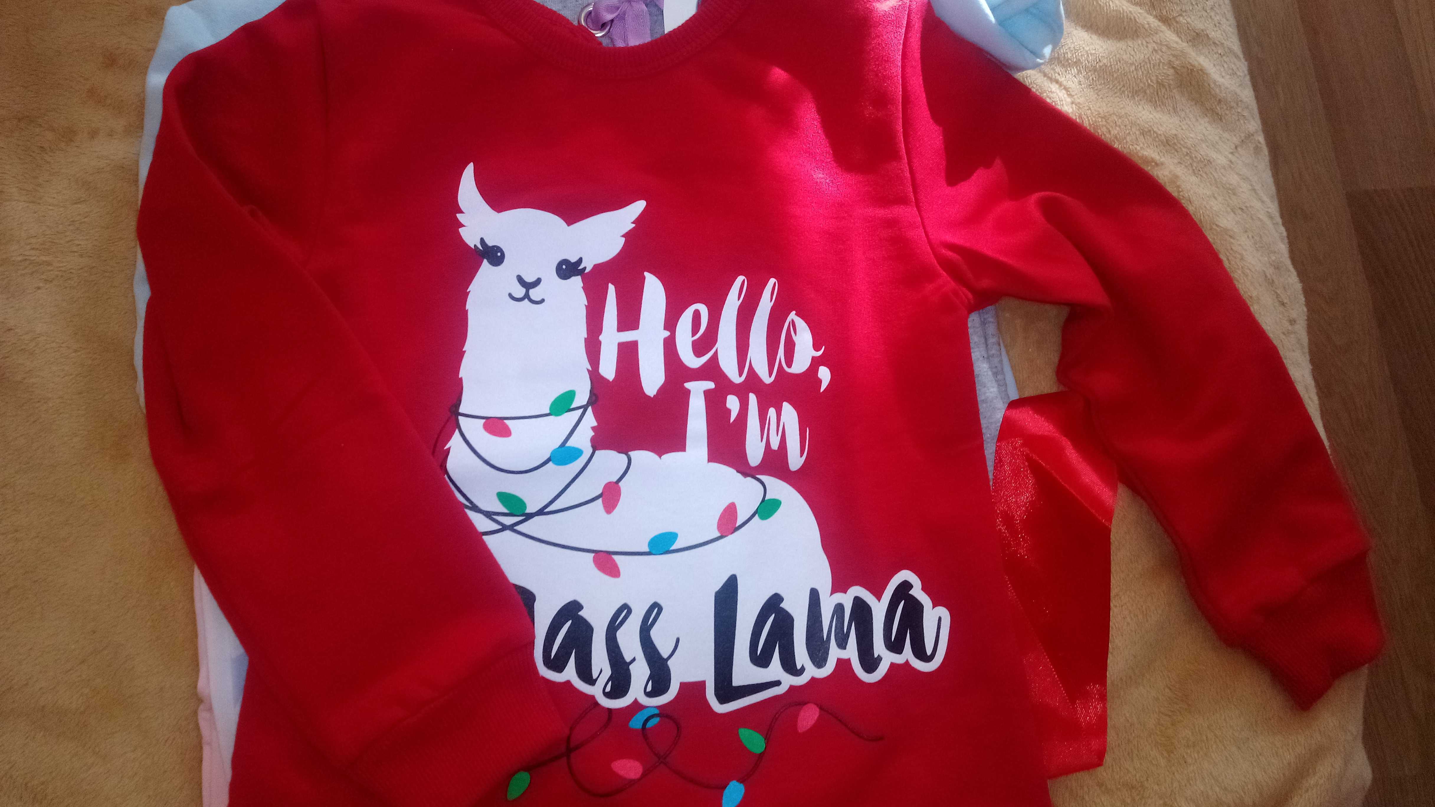 Фотография покупателя товара Джемпер для девочки KAFTAN "Lama", красный, рост 98-104 см (30) - Фото 2