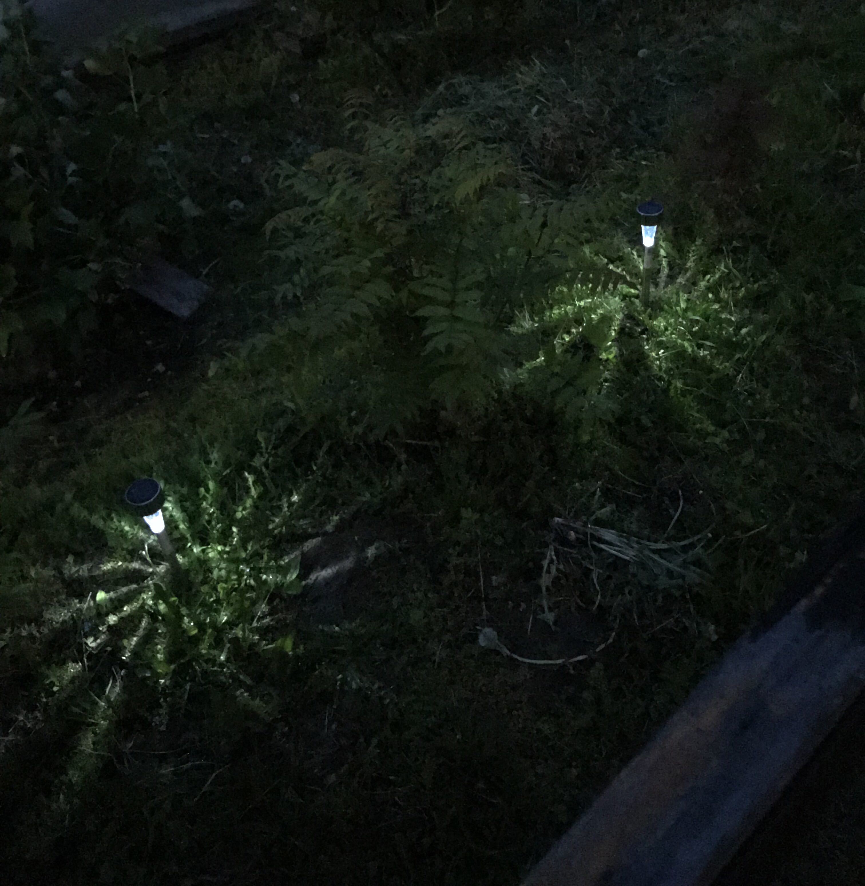 Фотография покупателя товара Садовый светильник на солнечной батарее «Трапеция», 5.3 × 38 × 5.3 см, 1 LED, свечение белое - Фото 7