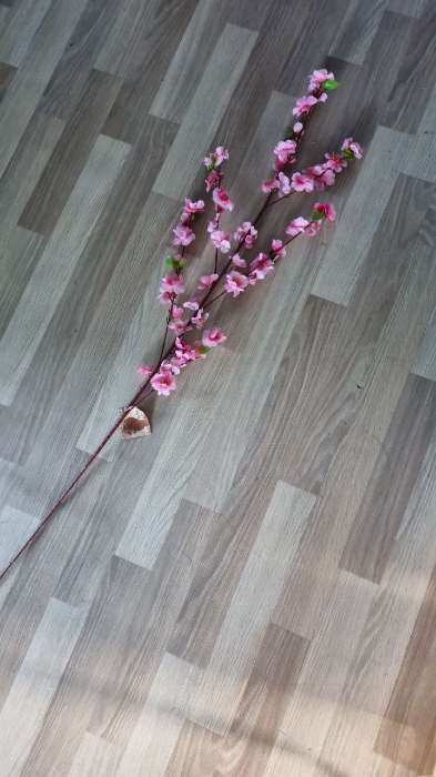 Фотография покупателя товара Цветы искусственные "Сакура нежность" 105 см, розовый