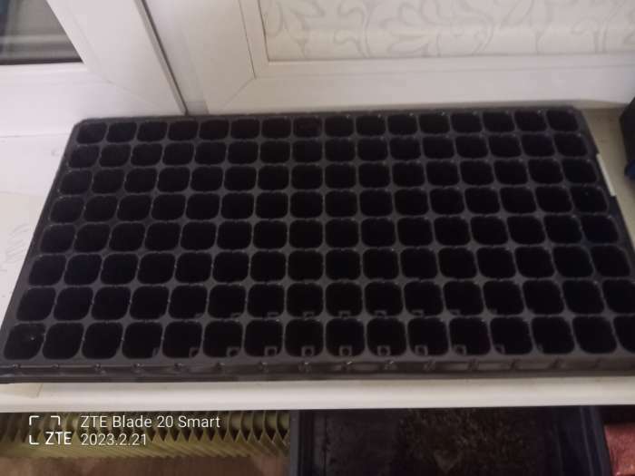 Фотография покупателя товара Кассета для выращивания рассады Greengo на 128 ячеек, по 15 мл, пластиковая, чёрная, 54 × 28 × 5 см - Фото 1