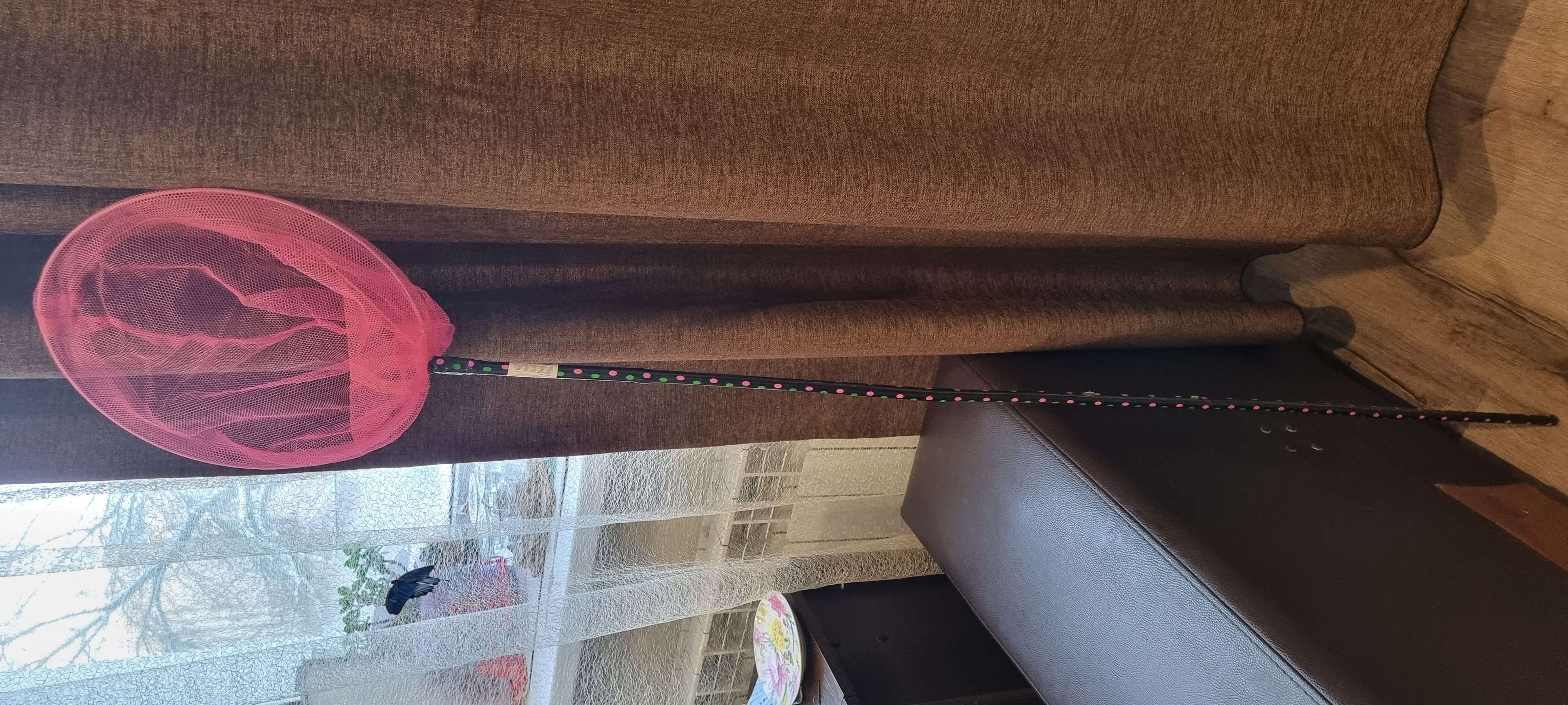 Фотография покупателя товара Сачок детский, ручка чёрный горох, 120 см, d=28 см, цвета МИКС - Фото 1