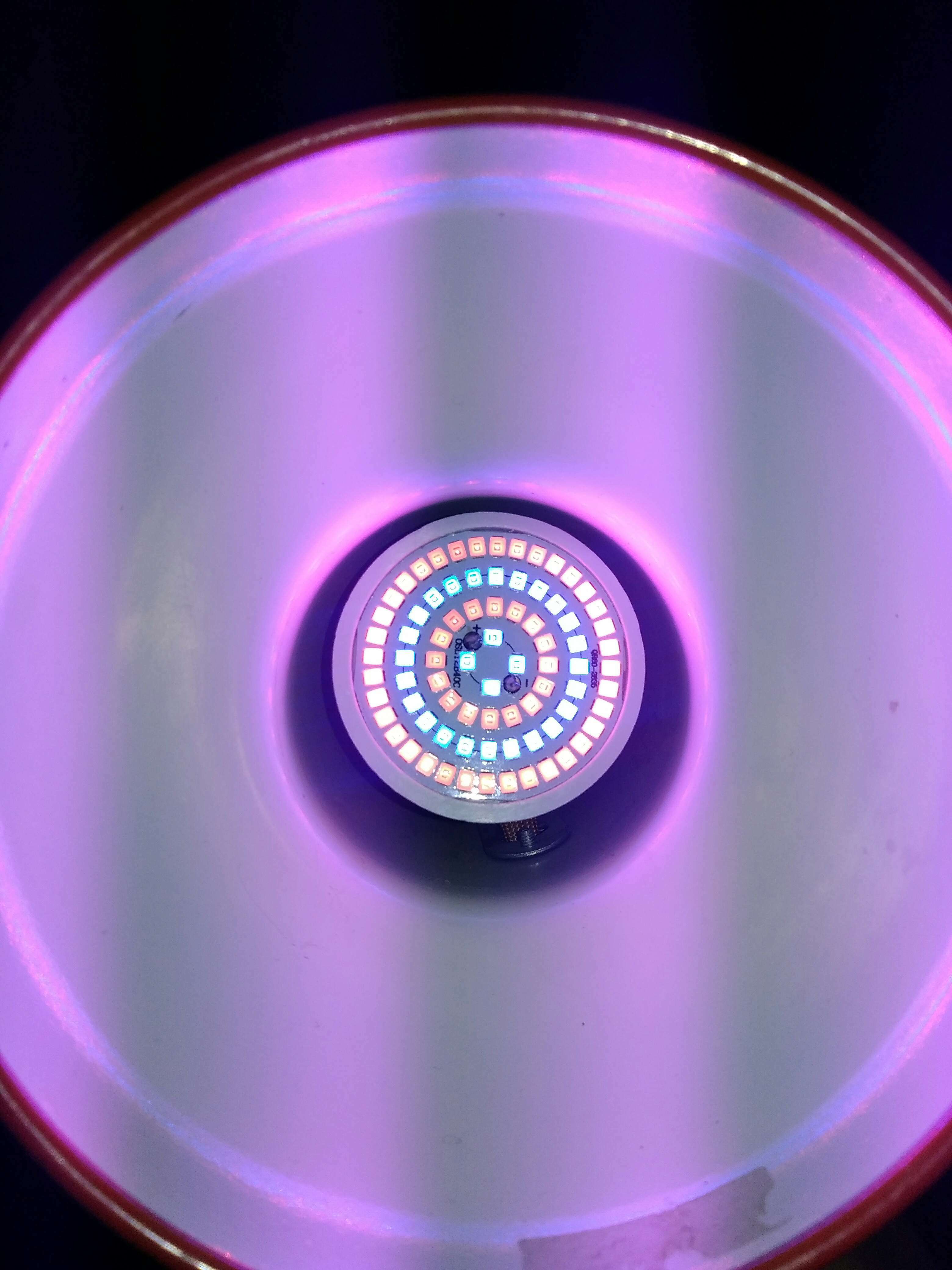 Фотография покупателя товара Фитолампа светодиодная Luazon, E27, 3.5 Вт, IP44, 220 В, биколорная - Фото 7