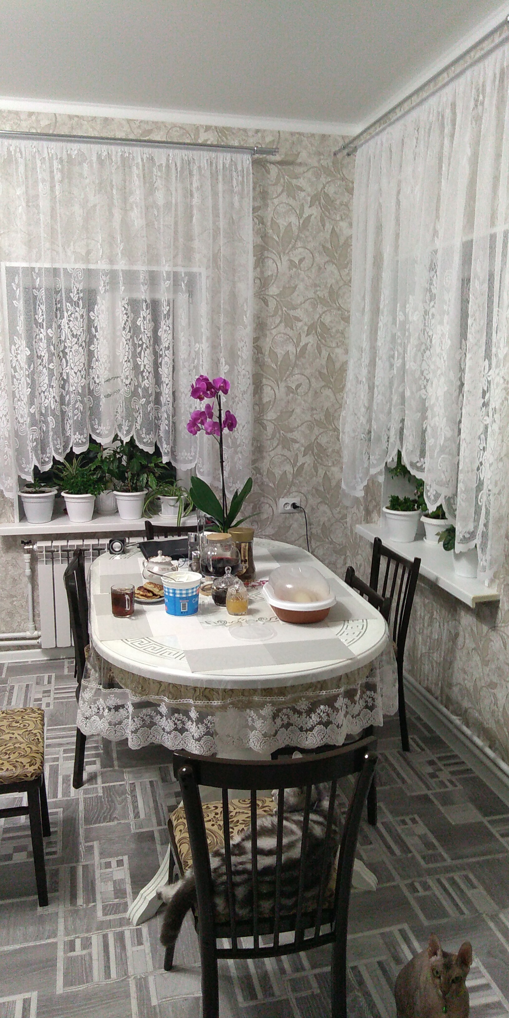 Фотография покупателя товара Тюль на кухню на шторной ленте, размер 255х165 см, цвет белый, 100% полиэстер