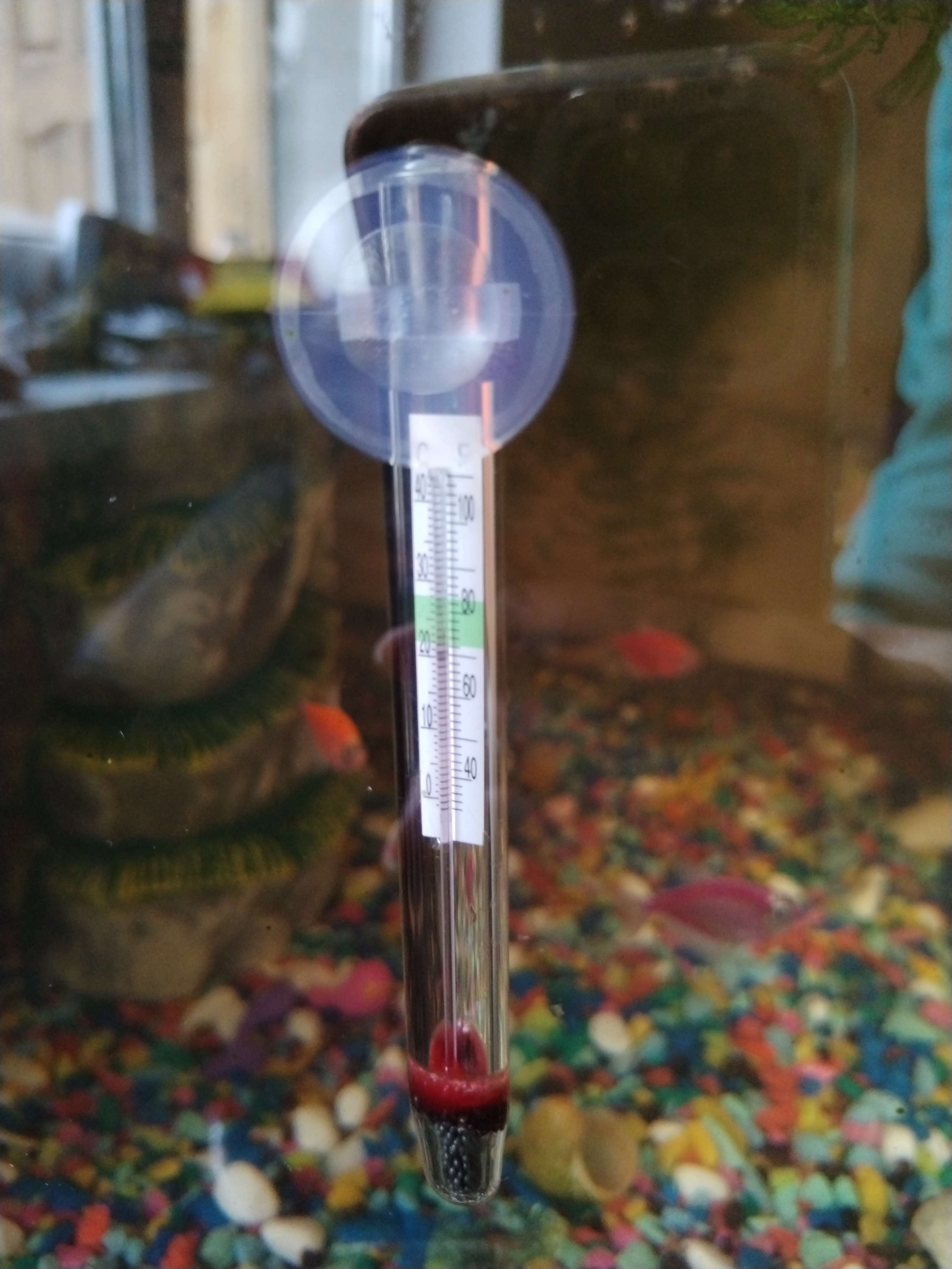 Фотография покупателя товара Термометр аквариумный на присоске утолщенный, 11 см