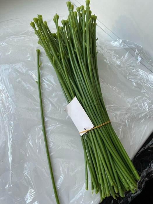 Фотография покупателя товара Стебель для изготовления искусственного цветка на один цветок 32 см