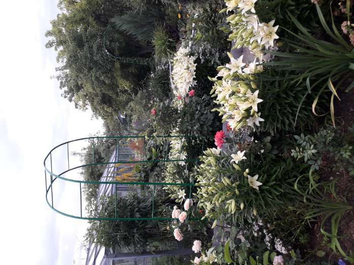 Фотография покупателя товара Арка садовая, разборная, 240 × 125 × 36.5 см, металл, зелёная, Greengo - Фото 6