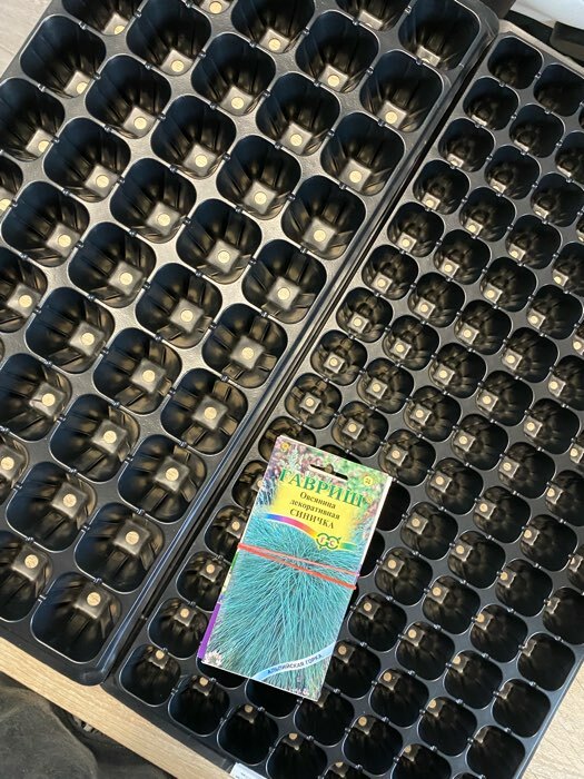 Фотография покупателя товара Кассета для рассады Greengo на 50 ячеек, по 70 мл, из пластика, чёрная, 56 × 29.5 × 4 см - Фото 1