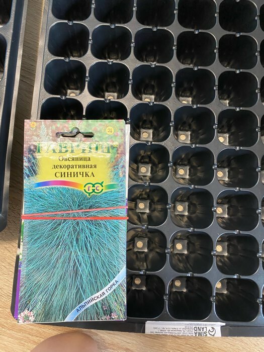 Фотография покупателя товара Кассета для рассады Greengo на 105 ячеек, по 20 мл, из пластика, чёрная, 55 × 29.5 × 3 см - Фото 5