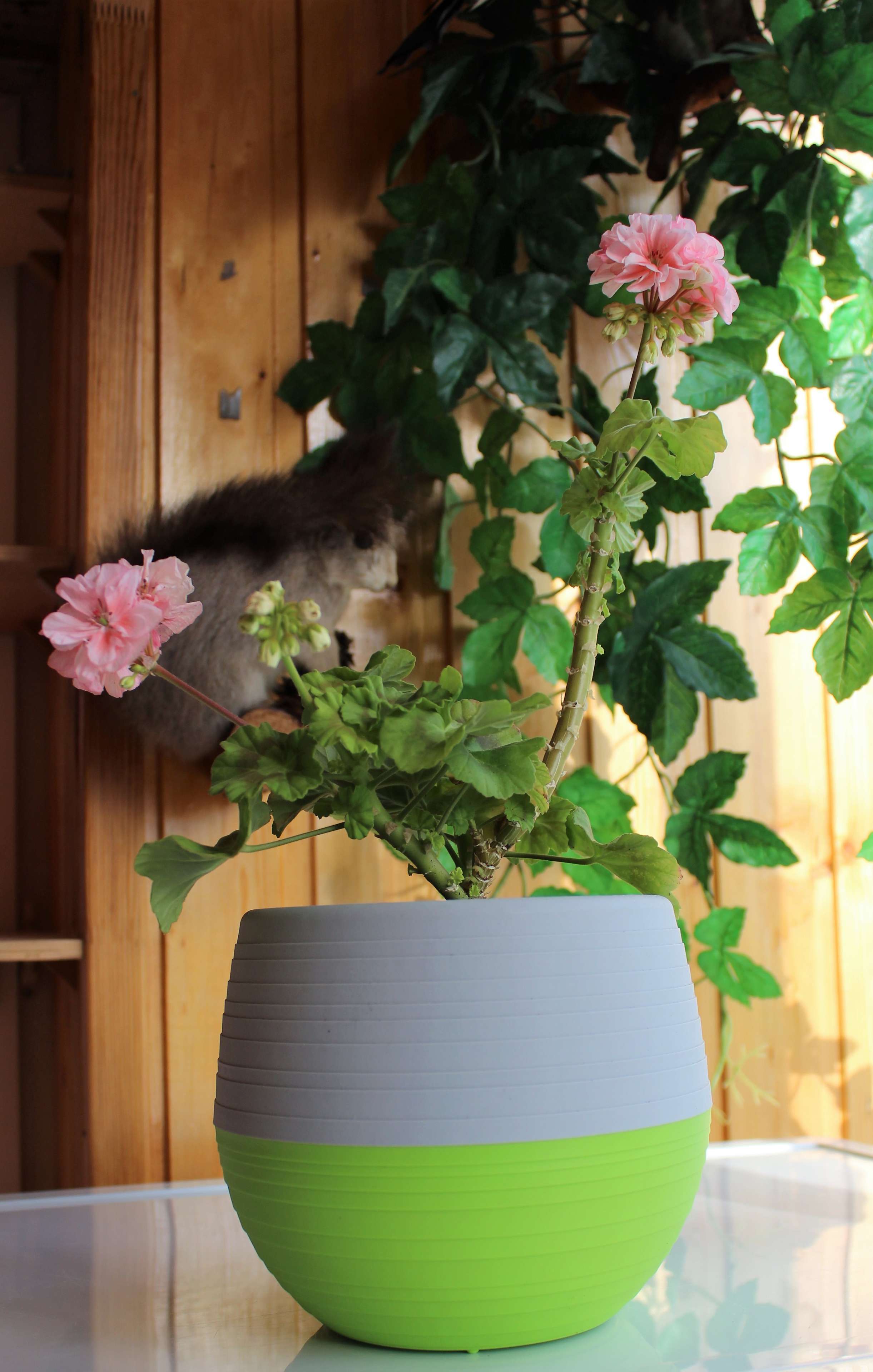 Фотография покупателя товара Горшок для цветов «Япония», 3 л, цвет серо-фисташковый - Фото 76
