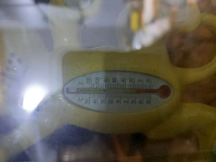 Фотография покупателя товара Пластиковый термометр оконный "Тигр"в пакете - Фото 2