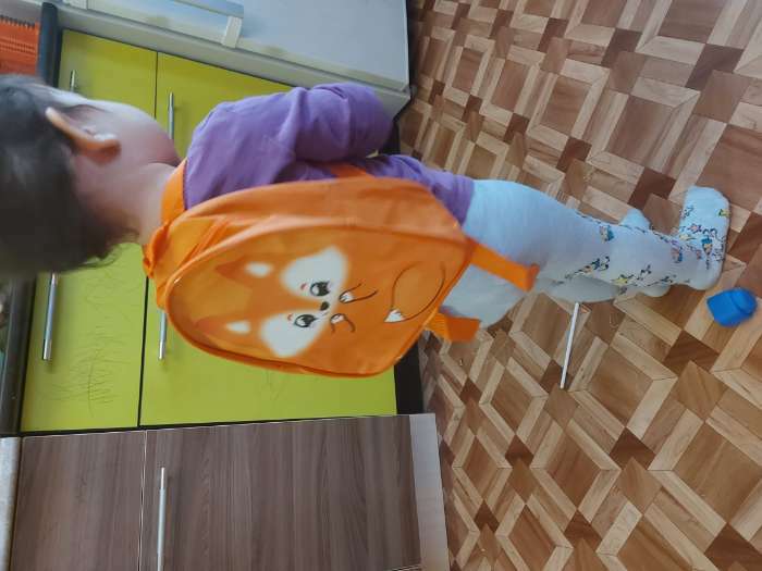 Фотография покупателя товара Рюкзак детский для девочки «Лиса», 23х20,5 см