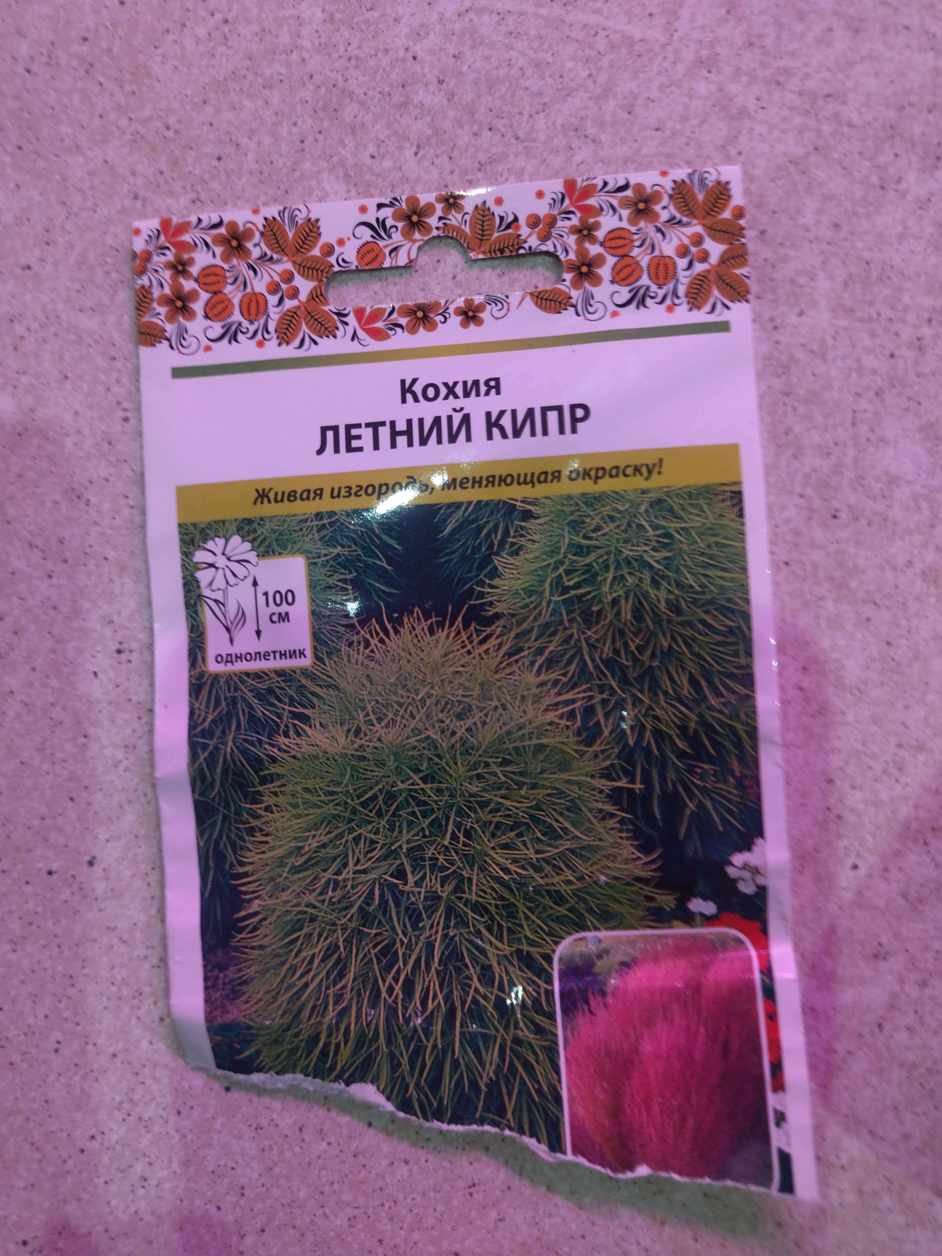 Фотография покупателя товара Семена цветов Кохия "Летний Кипр", 0,3 г - Фото 3