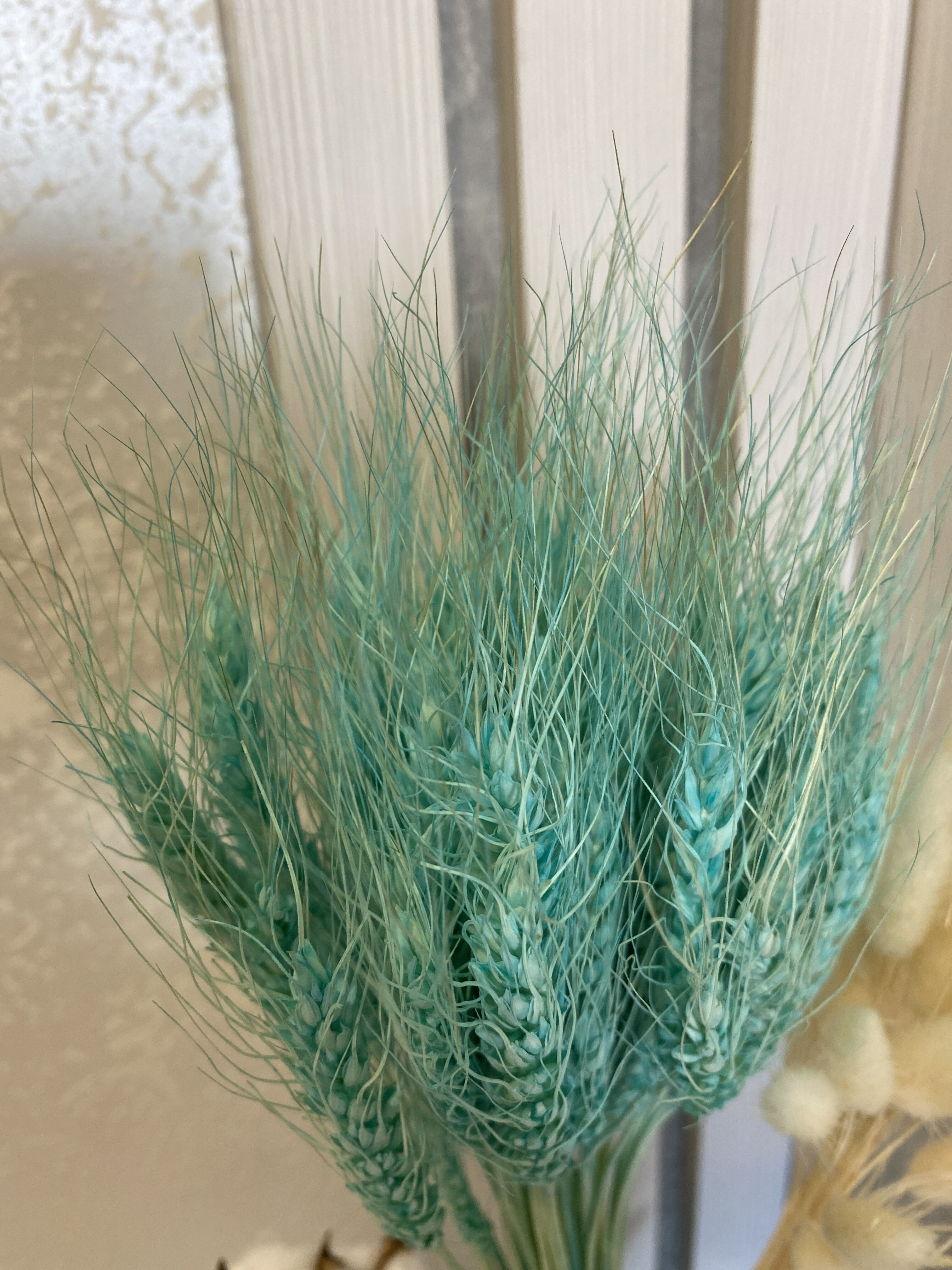 Фотография покупателя товара Сухой колос пшеницы, набор 50 шт., цвет голубой