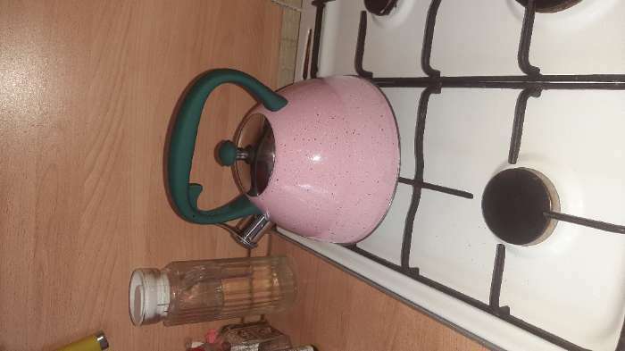 Фотография покупателя товара Чайник со свистком из нержавеющей стали Доляна «Космос», 3 л, синий - Фото 2