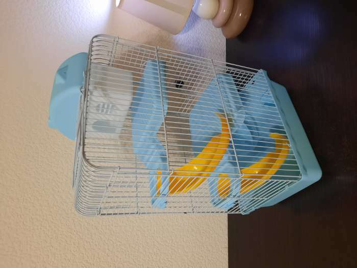 Фотография покупателя товара Клетка для мелких грызунов "Пижон", с наполнением, 23 х 17 х 40 см, голубая