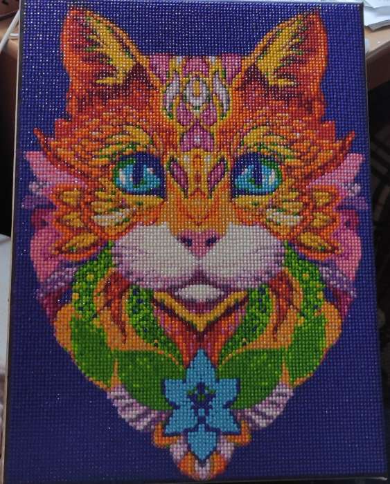 Фотография покупателя товара Алмазная мозаика на подрамнике с полным заполнением «Волшебная кошка», 30 × 40 см - Фото 1