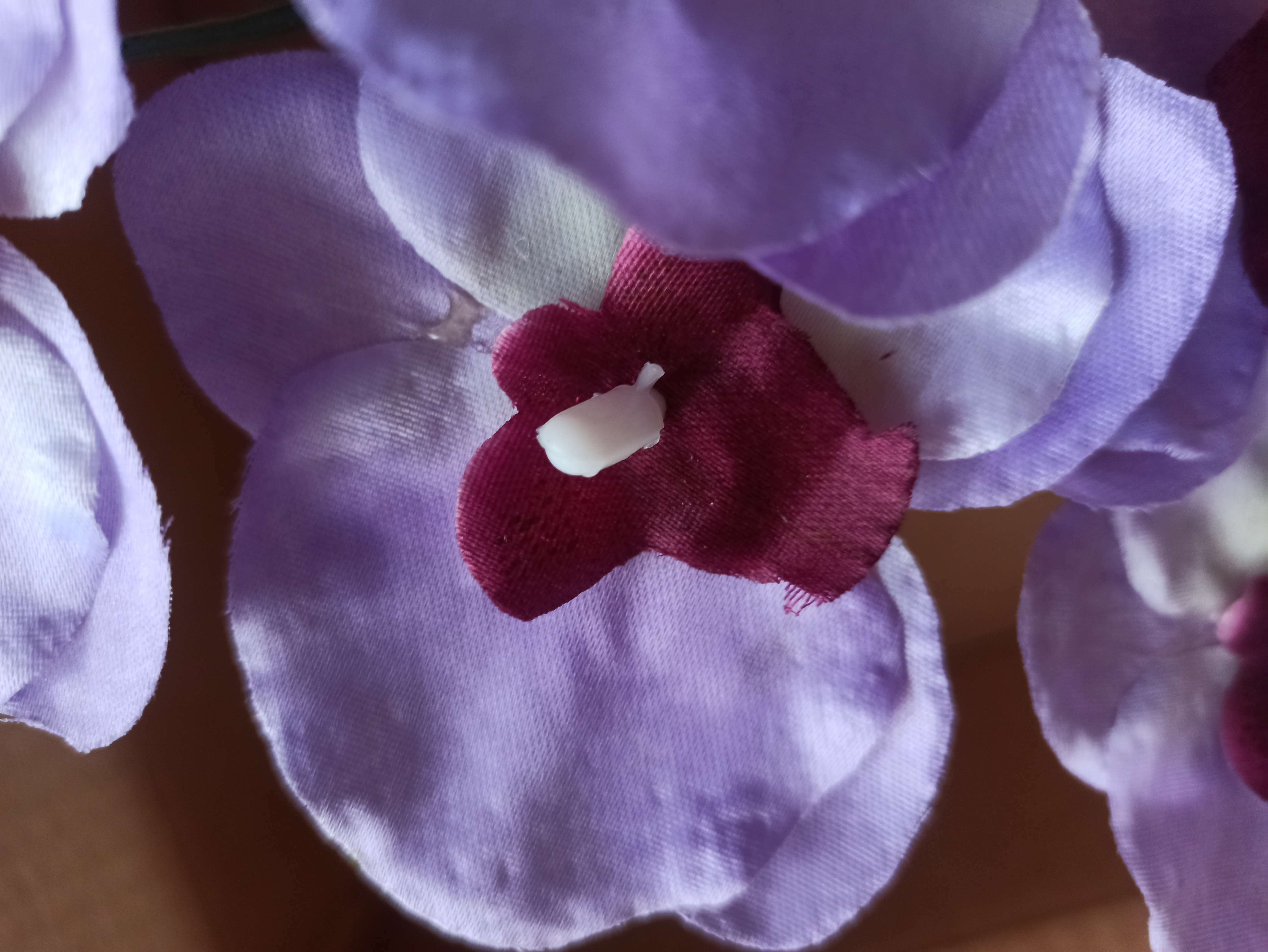 Фотография покупателя товара Цветок искусственный "Орхидея" 9*60 см, белая с сиреневым - Фото 2