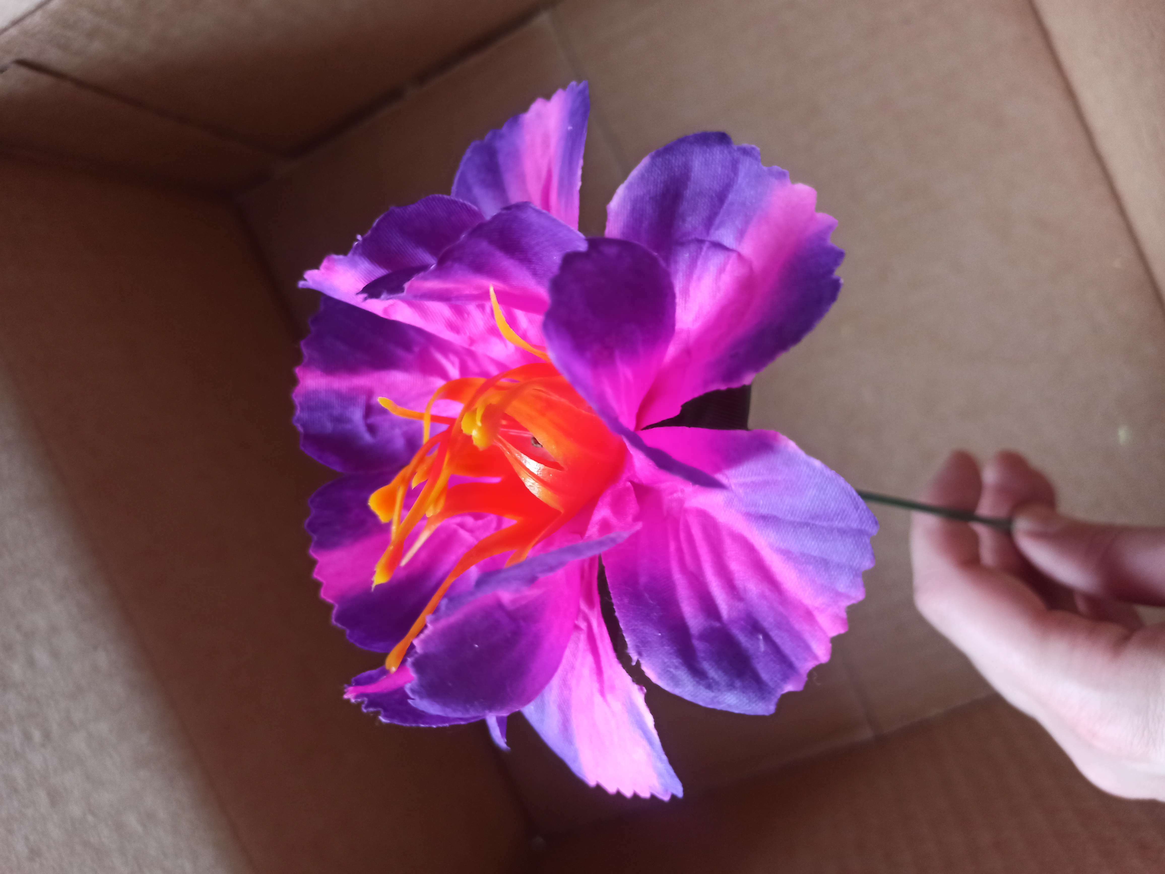 Фотография покупателя товара Цветы искусственные "Бегония криспа" d-11 см 27 см, сиреневый