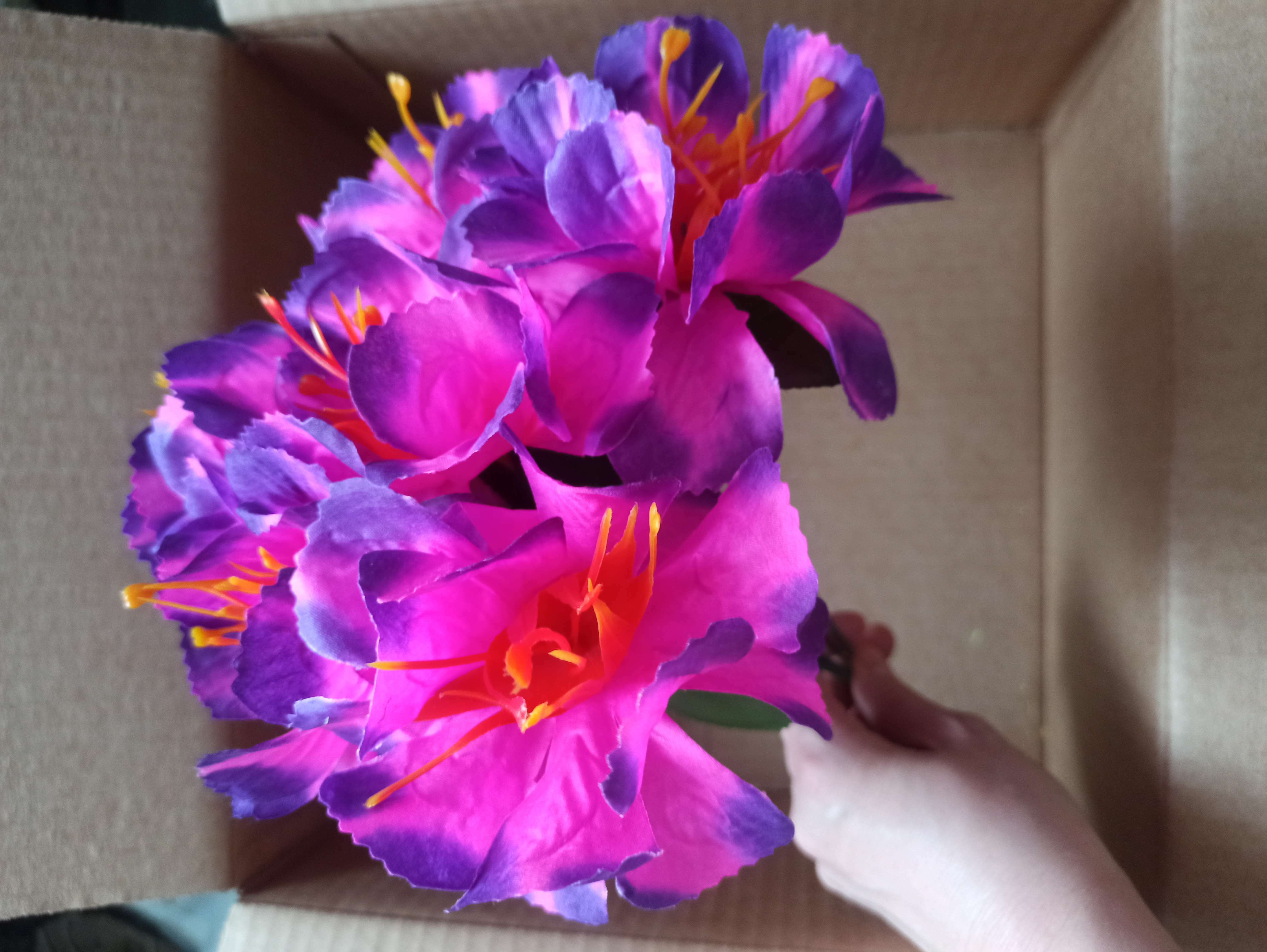 Фотография покупателя товара Цветы искусственные "Бегония криспа" d-11 см 27 см, сиреневый - Фото 7