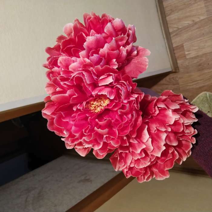 Фотография покупателя товара Цветы искусственные "Пион бархатный" 15х55 см, розовый - Фото 9