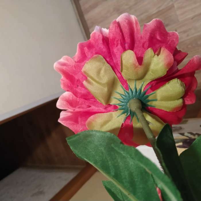 Фотография покупателя товара Цветы искусственные "Пион бархатный" 15х55 см, розовый - Фото 6