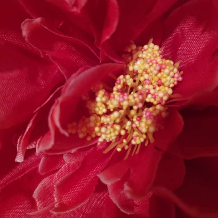 Фотография покупателя товара Цветы искусственные "Пион бархатный" 15х55 см, красный - Фото 16