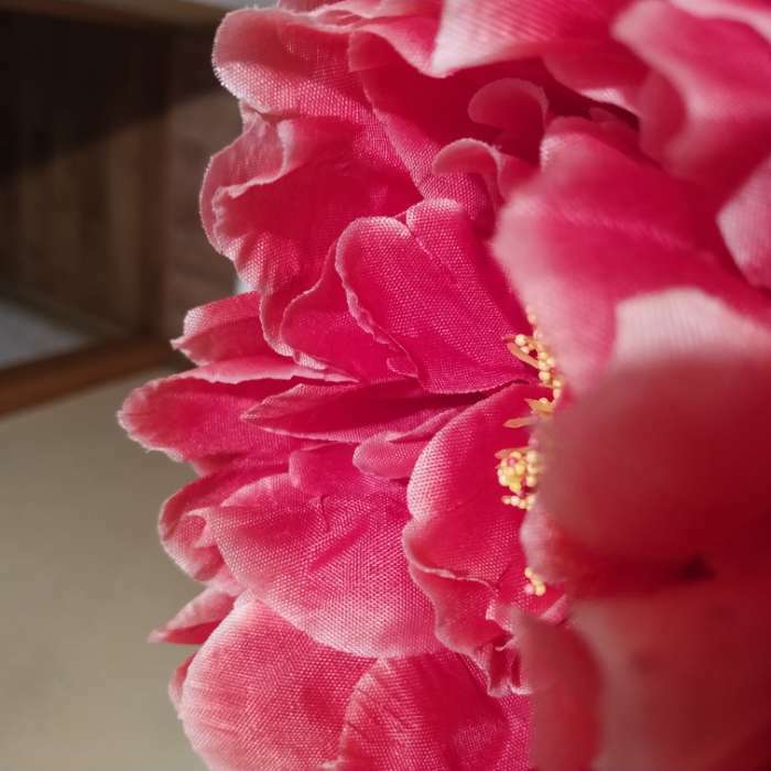 Фотография покупателя товара Цветы искусственные "Пион бархатный" 15х55 см, красный - Фото 9