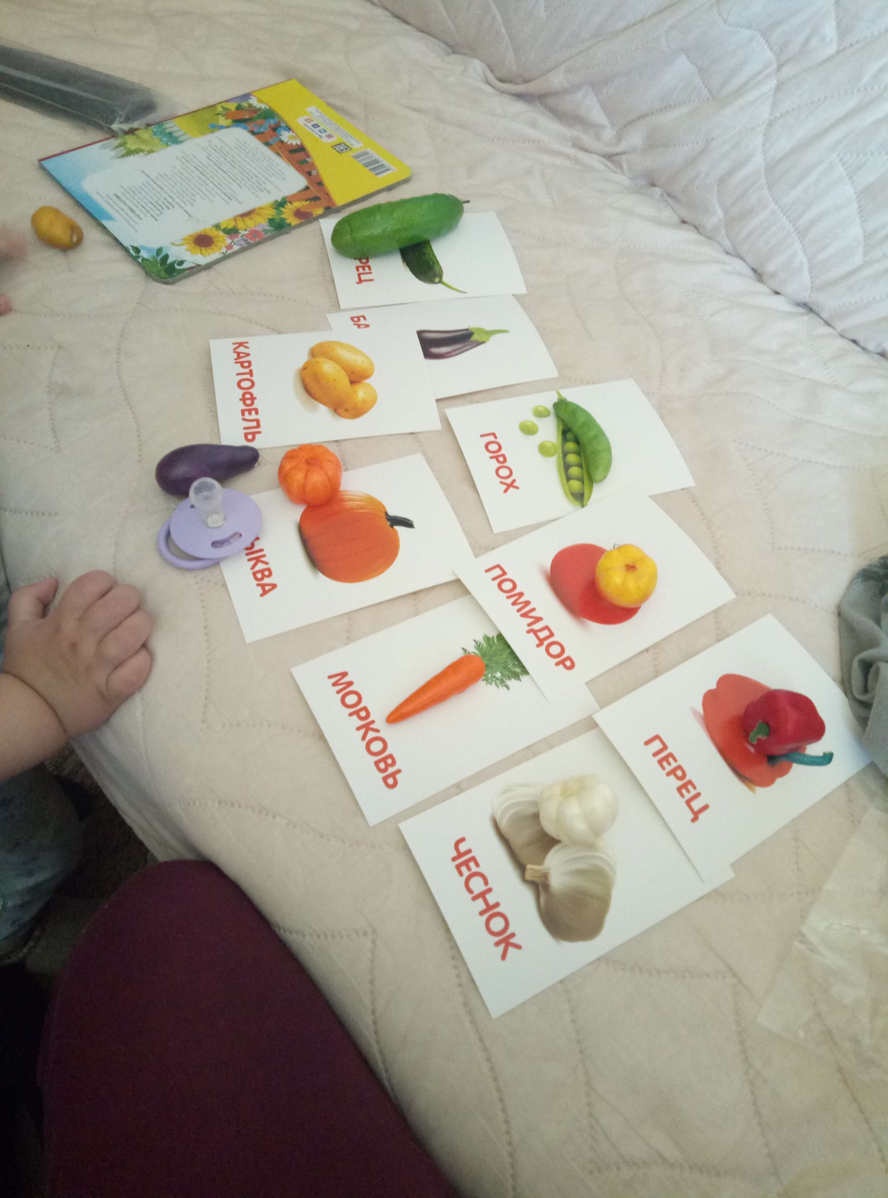 Фотография покупателя товара Обучающий набор по методике Г. Домана «Овощи»: 9 карточек + 9 овощей, счётный материал - Фото 15